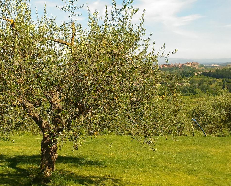 Capanna 1826 Villa San Gimignano Buitenkant foto